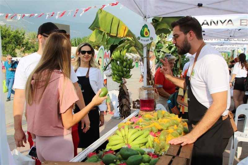 Avokado ve mango temalı tropikal meyve festivali için hazırlıklar sürüyor
