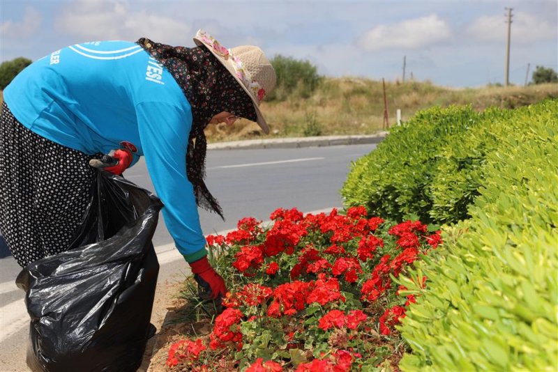 Alanya belediyesi kenti çiçek bahçesine dönüştürüyor