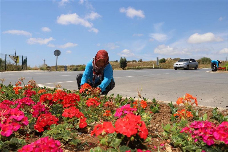 Alanya belediyesi kenti çiçek bahçesine dönüştürüyor