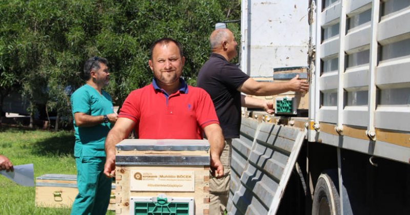 Antalya Büyükşehir Belediyesi’nin Arı Üreticilerine Kovan Desteği Sürüyor