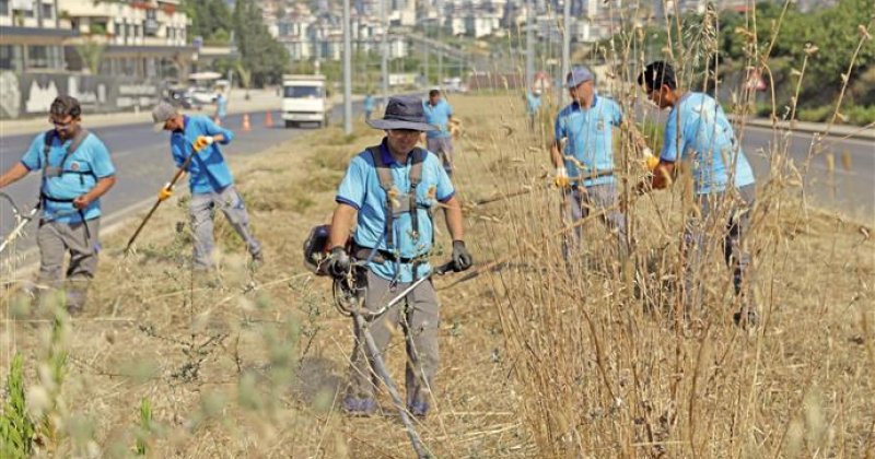 Park ve bahçeler müdürlüğü’nden hummalı çalışma