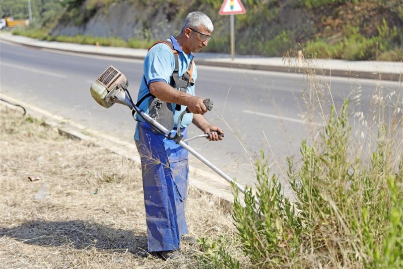 Park ve bahçeler müdürlüğü’nden hummalı çalışma