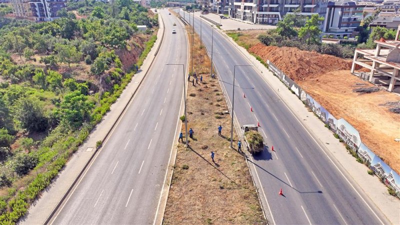 Park ve bahçeler müdürlüğü’nden hummalı çalışma