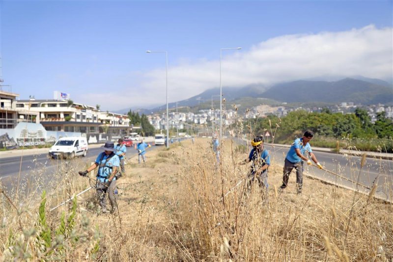 Park ve bahçeler müdürlüğü’nden hummalı çalışma