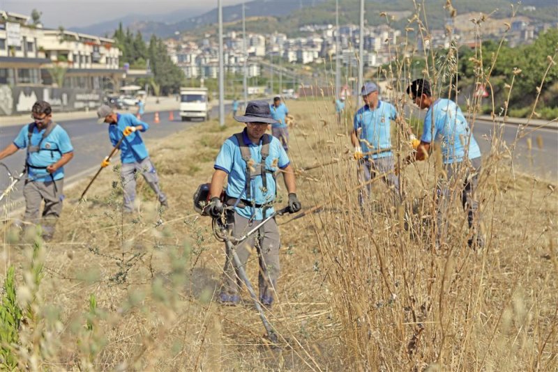 Park ve bahçeler müdürlüğü’nden hummalı çalışma