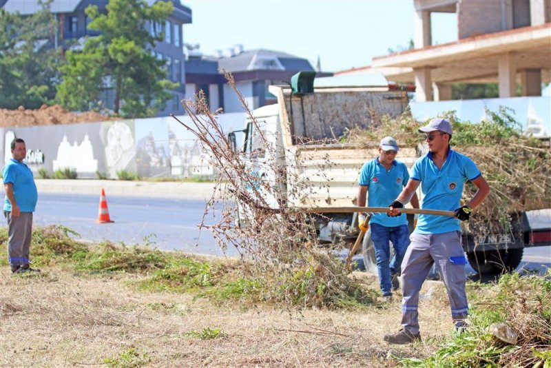 Park ve bahçeler müdürlüğü’nden hummalı çalışma