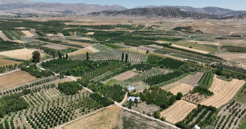 Antalya Büyükşehir Belediyesi Ges Ile  Sülekler Mahallesi’nin Kaderini Değiştirdi