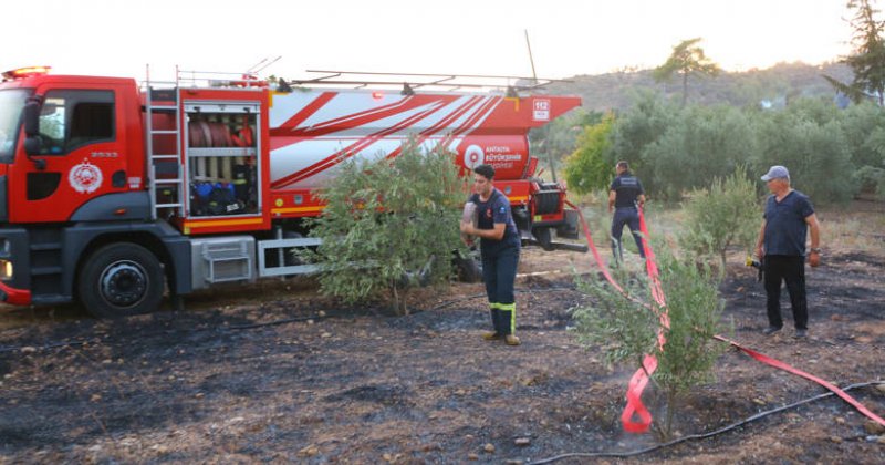 Antalya Büyükşehir Ekiplerinden Orman Yangınına Müdahale