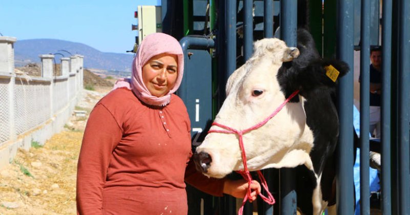 Büyükşehir Belediyesi’nin Hayvan Üreticilerine Desteği Sürüyor