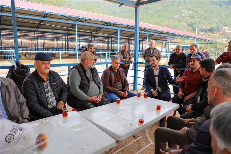 Alanya kurban pazarı açıldı