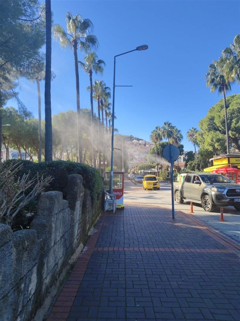 Alanya belediyesi’nden çam kese böceğine önlem