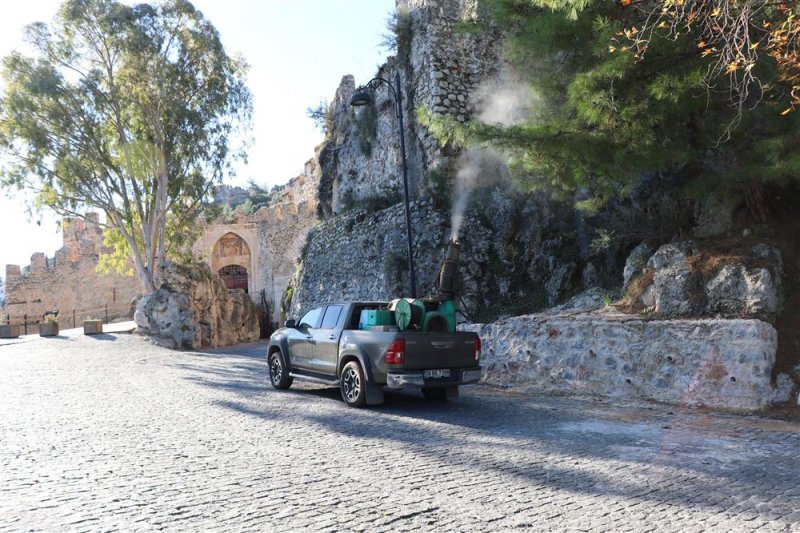 Alanya belediyesi’nden çam kese böceğine önlem