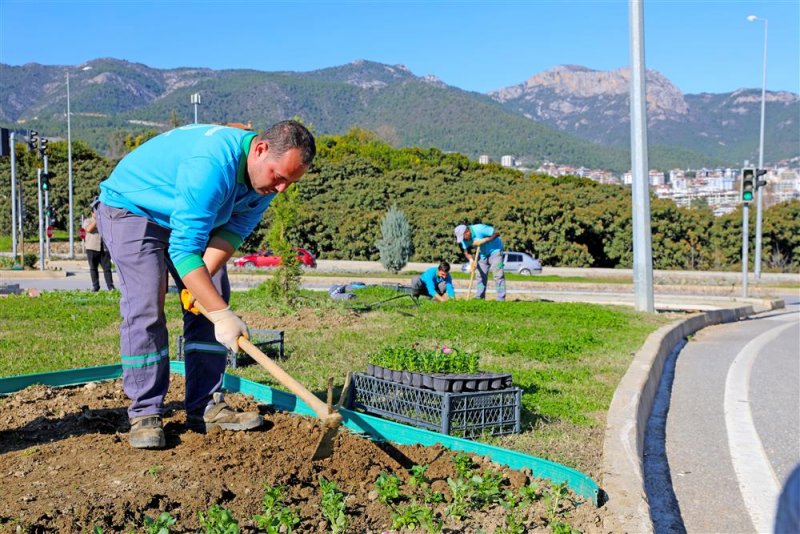 Alanya belediyesi’nden 'yeşil' seferberliği