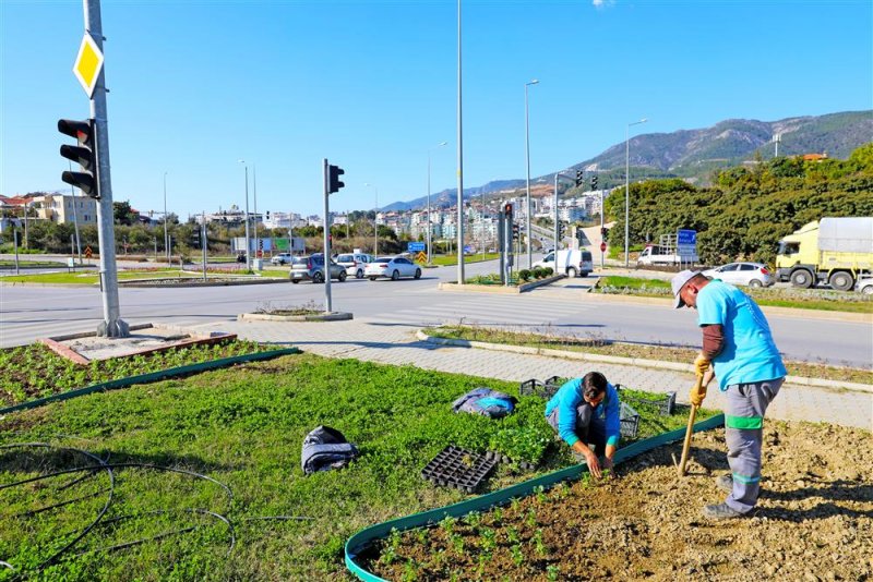 Alanya belediyesi’nden 'yeşil' seferberliği