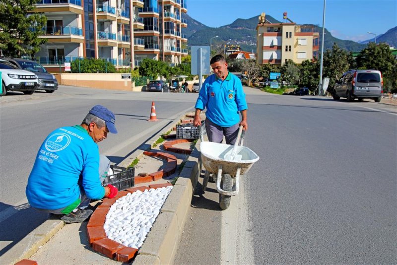 Alanya belediyesi’nden 'yeşil' seferberliği