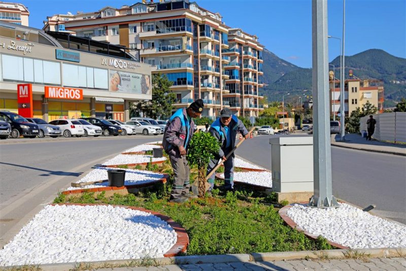 Alanya belediyesi’nden 'yeşil' seferberliği