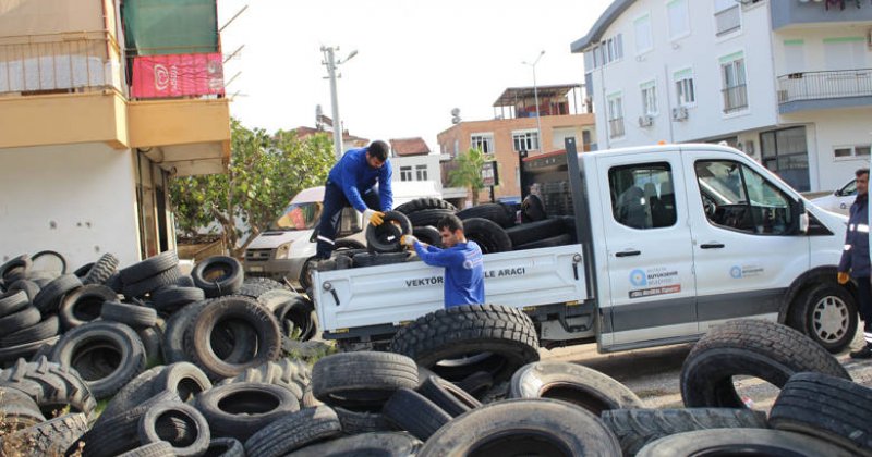 Sineklerin Üreme Alanı Lastikler Toplanıyor