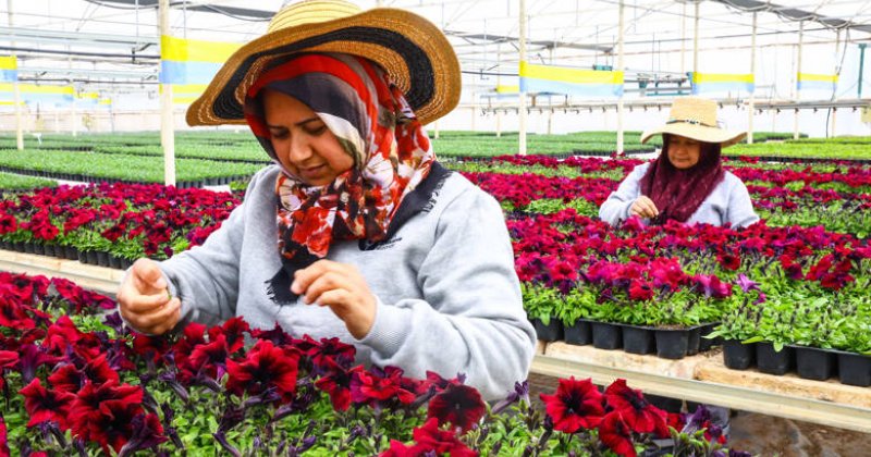 Antalya’nın Caddeleri Baharda Rengârenk Olacak